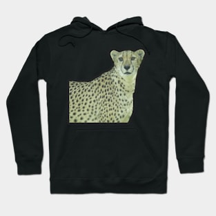 Cheetah Hoodie